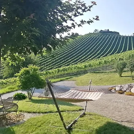 Naturjuwel Inmitten Der Weinberge * Sankt Stefan ob Stainz