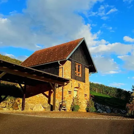 Apartment Naturjuwel Inmitten Der Weinberge Sankt Stefan ob Stainz