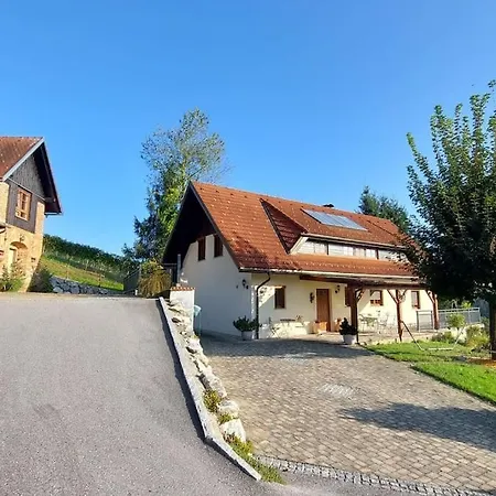 Naturjuwel Inmitten Der Weinberge Apartment Sankt Stefan ob Stainz