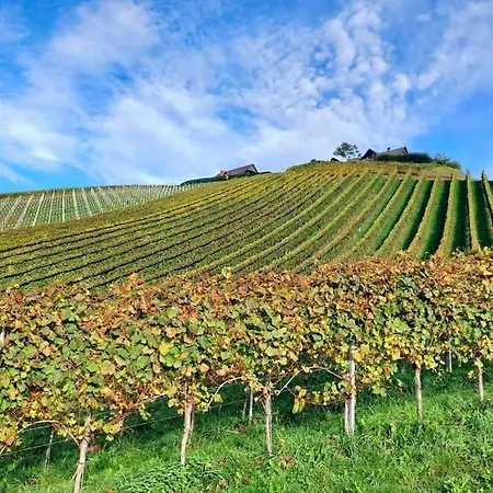 Naturjuwel Inmitten Der Weinberge *