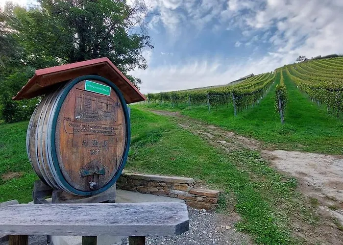 Appartement Naturjuwel Inmitten Der Weinberge *