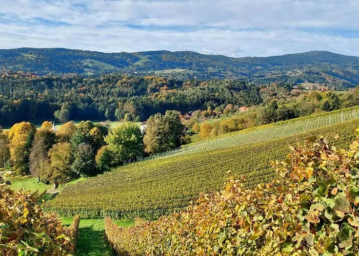 Naturjuwel Inmitten Der Weinberge *