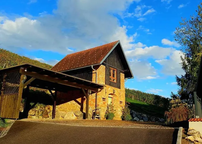 Appartement Naturjuwel Inmitten Der Weinberge Sankt Stefan ob Stainz
