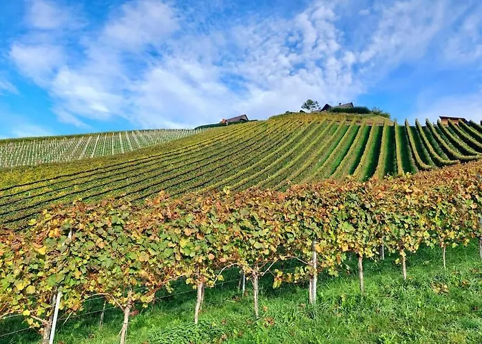 Naturjuwel Inmitten Der Weinberge *